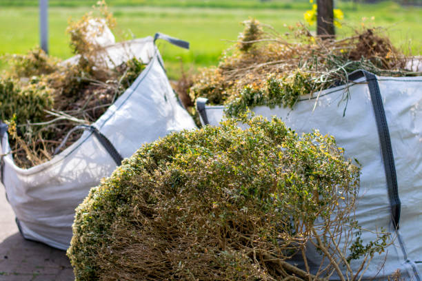 Best Moving and Downsizing Cleanouts  in Ralston, NE